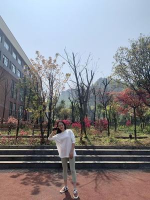 文章附图