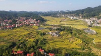 926b3dbfcc056425e8af7adf4ce69cd.jpg